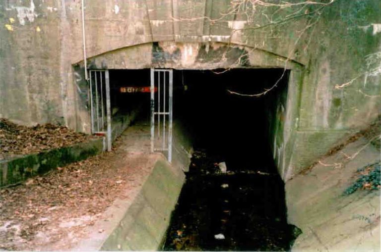 Der Nordeingang des Liederbachtunnels 1998
