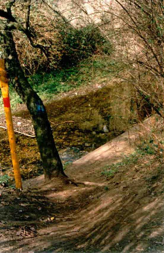 Der Trampelpfad hinab zum Liederbachtunnel 1998