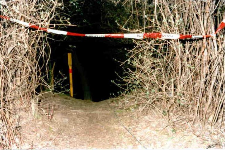 Dieser Trampelpfad führte zum Liederbachtunnel